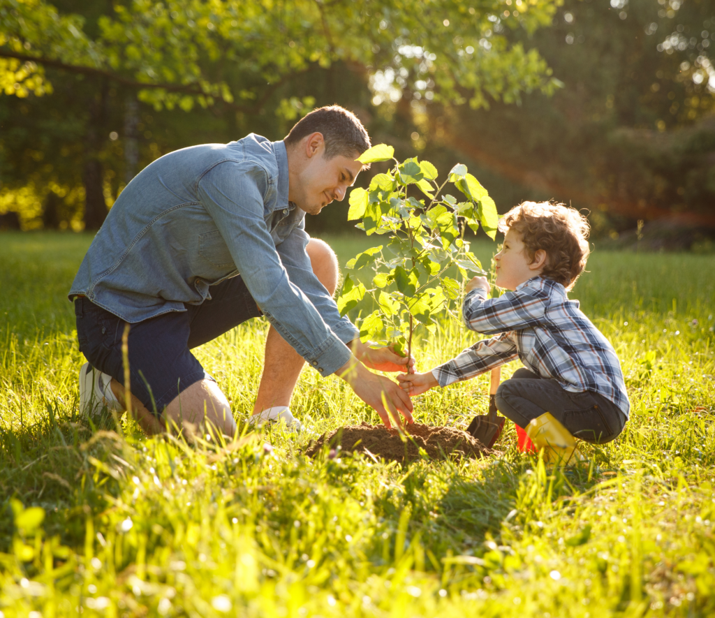 Father & Son Planting Tree
